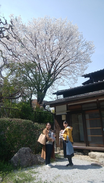 福岡市南区・那珂川・春日・大野城のベビーマッサージ教室